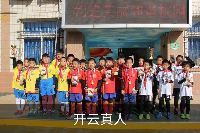 关于开云真人